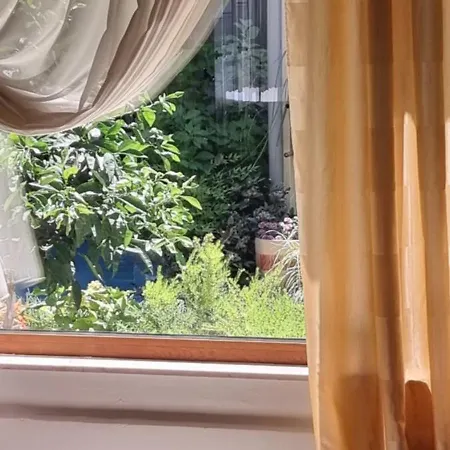Garden Guest house