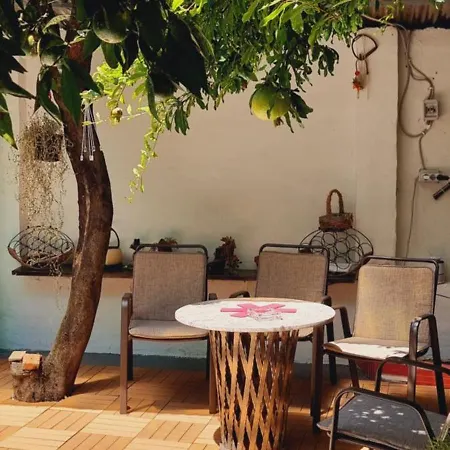 Guest house Garden