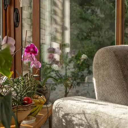 Guest house Garden