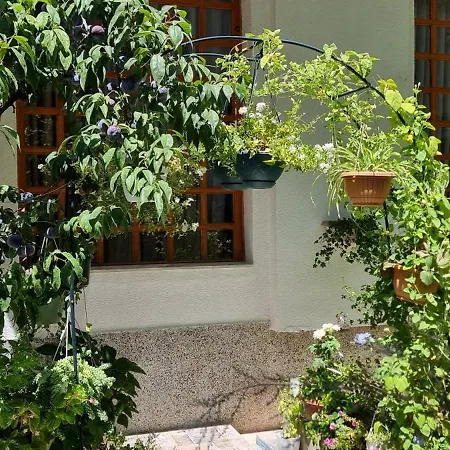 Garden Gasthuis Tirana